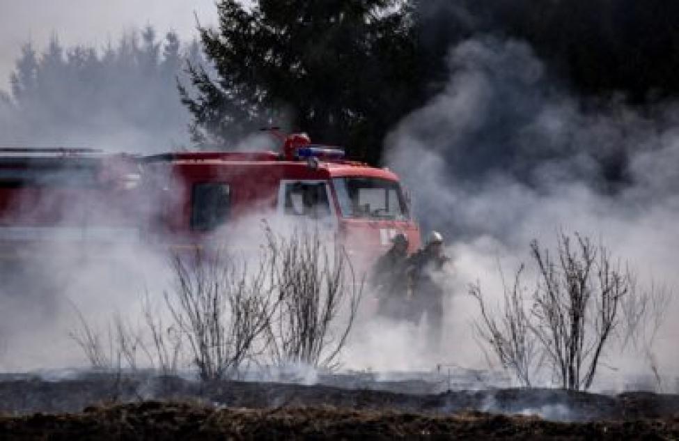 Огонь под контроль: регион закупает лесопожарную технику в рамках нацпроекта