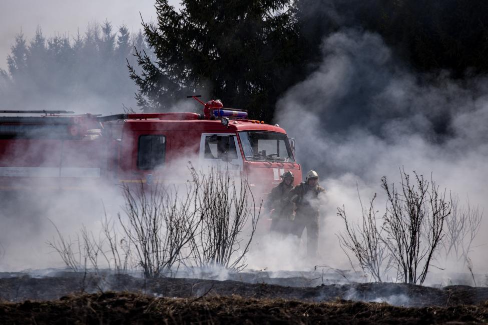 Огонь под контроль: регион закупает лесопожарную технику в рамках нацпроекта