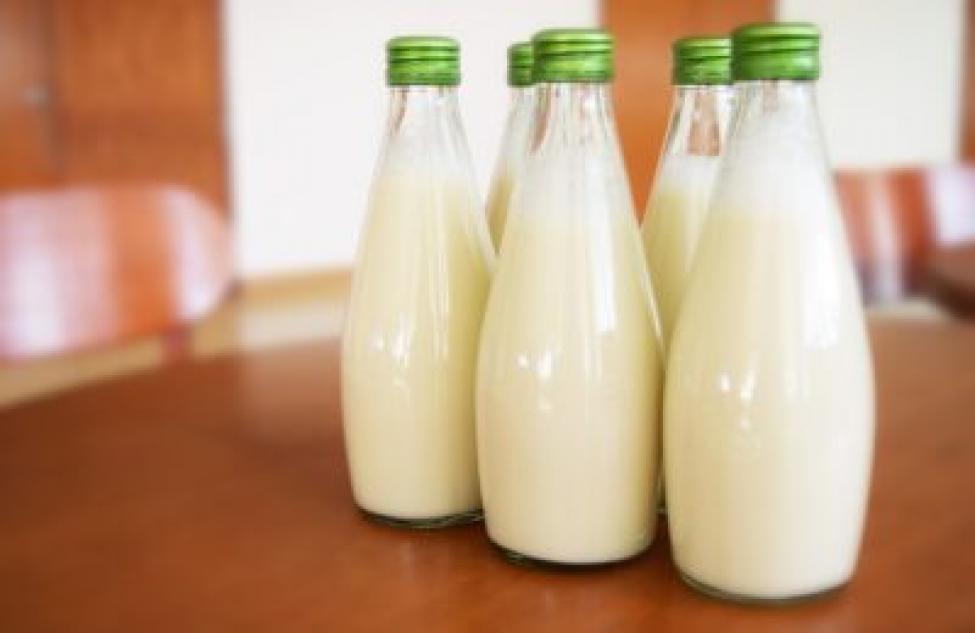 Как продвигается вопрос с «Молочной кухней» в Оби? Детский омбудсмен направила письмо Губернатору