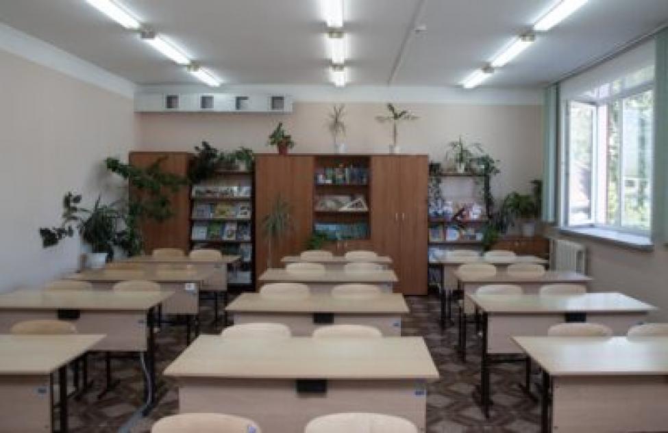 Дистант в школах Новосибирской области будет не для всех — подробности