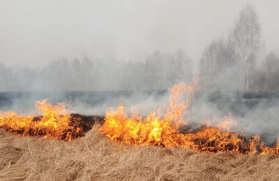 Пожароопасный сезон-2022: фермеров могут лишить господдержки, шашлыки на майских праздниках — под запретом