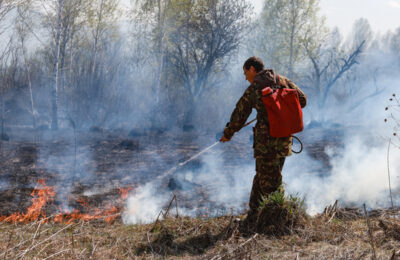 Посещать леса запрещено: Особый противопожарный режим вновь продлен в НСО 