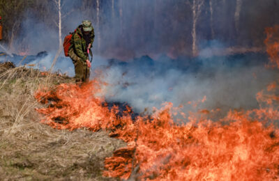 Уголовные дела на поджигателей травы возбудили в Новосибирской области