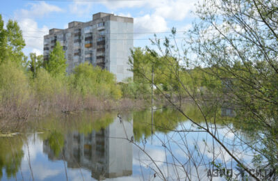 Эко-парк «Обской» может появиться на берегах «Козловского озера»
