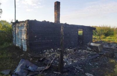 Стали известны подробности пожара на дачном участке в поселке Чик