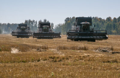 Первый миллион тонн зерна намолотили аграрии из Новосибирской области