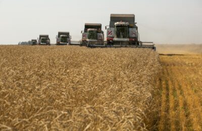 «Тревожная ситуация» на зерновом рынке: на сессии ЗакСобрания НСО обсудили вопросы аграрной политики