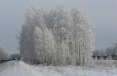 МЧС выпустило экстренное предупреждение из-за идущих в Новосибирскую область аномальных морозов