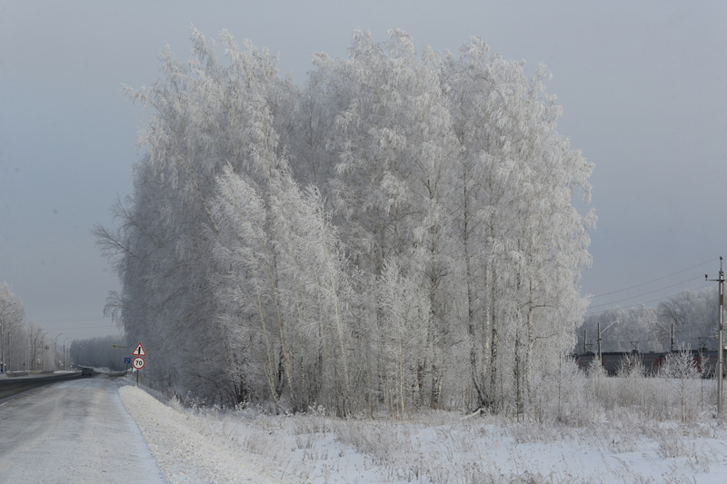 Минус 30 и ниже с 9 января: МЧС выпустило экстренное предупреждение из-за идущих в Новосибирскую область аномальных морозов