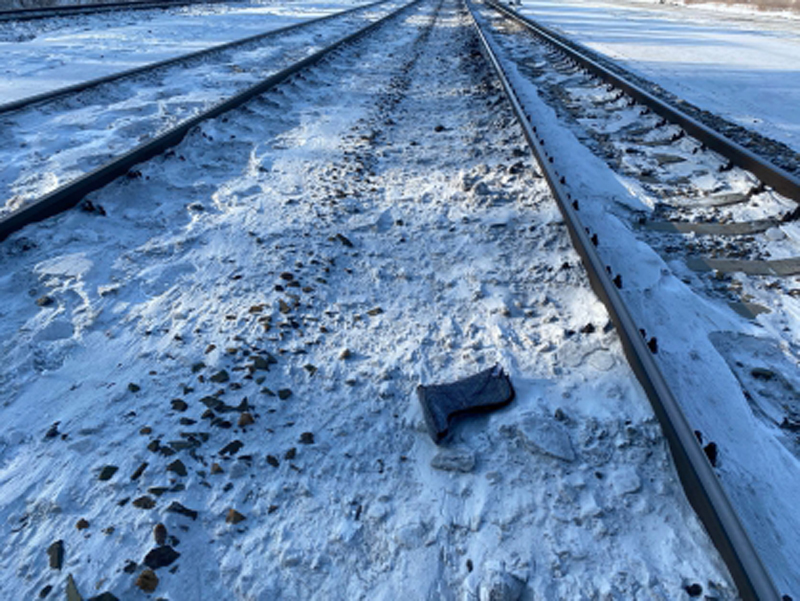 Скорый поезд насмерть сбил мужчину в Новосибирской области