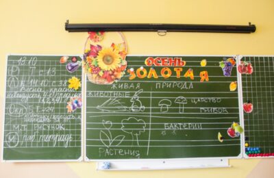 «Земский учитель»: как федеральный проект помог школам Оби и села Толмачева найти новых преподавателей