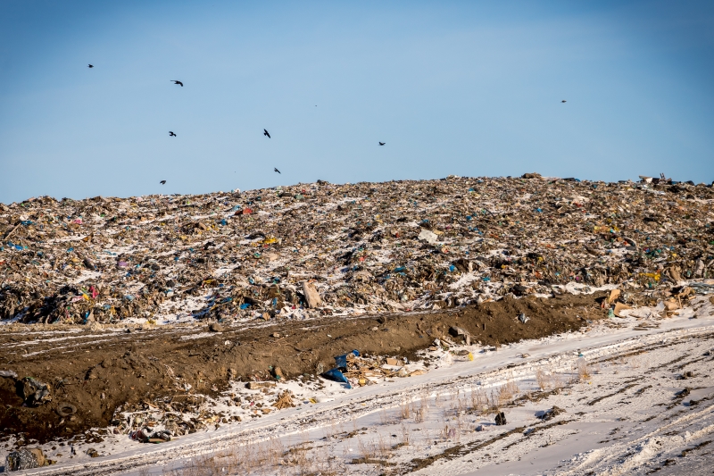 Проекты постановлений о строительстве 4 новых мусорных полигонов опубликованы в Новосибирской области