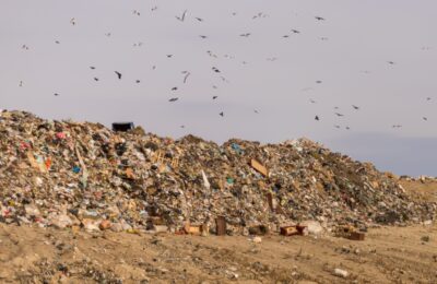 Хилокский мусорный полигон закроют к 2025 году в Новосибирске