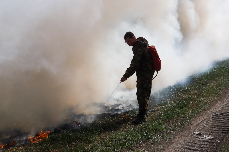 Особый противопожарный режим начнет действовать с 24 апреля в Новосибирской области