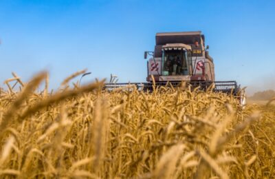 Более 5,3 млрд. рублей господдержки получат аграрии и сельхозпредприятия Новосибирской области
