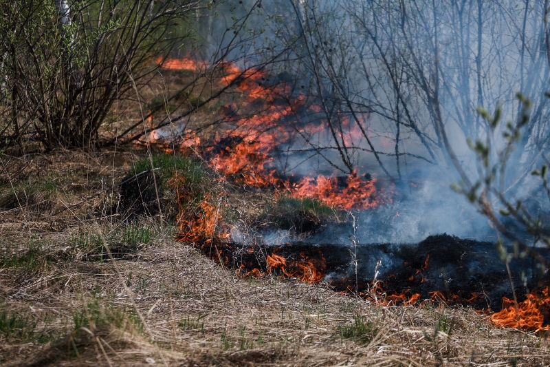 До конца мая продлен особый противопожарный режим в Новосибирской области