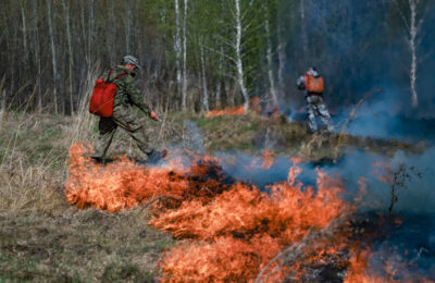 Из-за ландшафтных пожаров в Новосибирской области в 2024 могут запретить весеннюю охоту