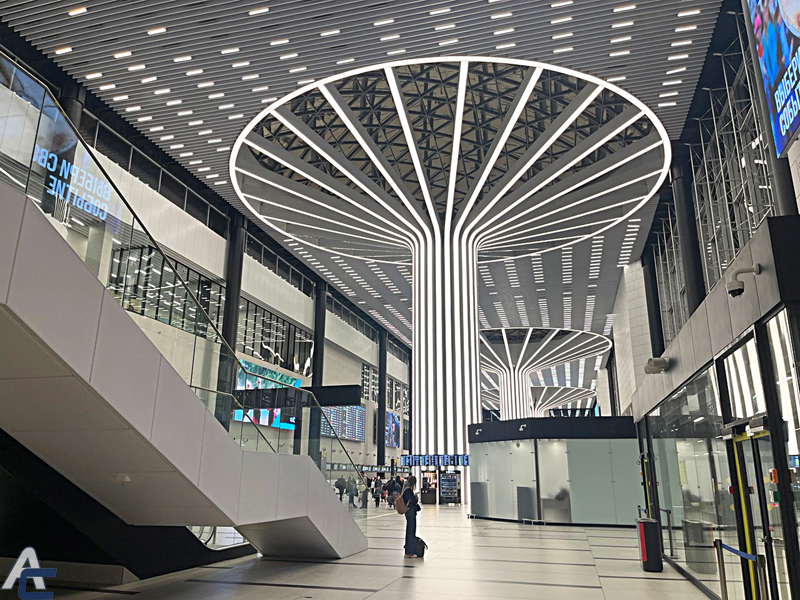 Капсульный отель и Duty Free разместят в новом терминале аэропорта "Толмачёво"