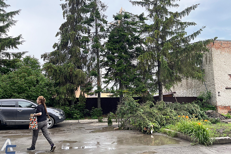 Сильный ливень и гроза, прошедшие сегодня утром в ряде районов Новосибирской области, не обошли стороной и город Обь. В первой половине дня молния ударила в дерево на территории поликлиники № 1 на улице Калинина, 25.