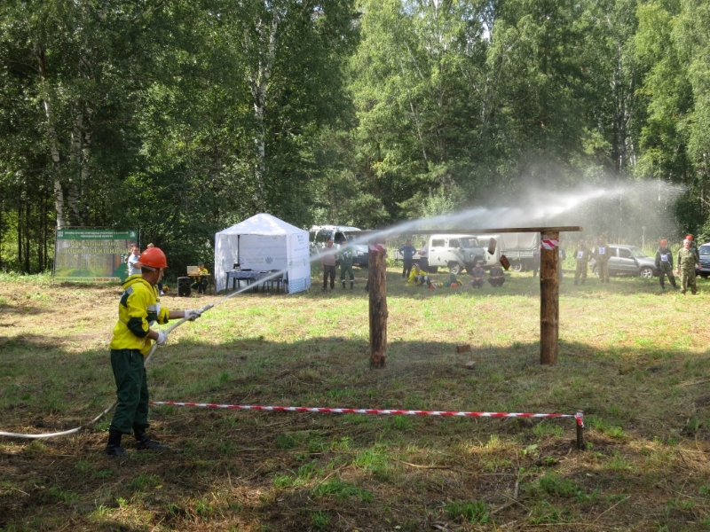 Лучшего лесного пожарного выбрали выбрали на Всероссийском конкурсе в Новосибирской области