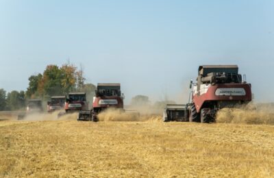 На 25% зерновых больше необходимого планируют убрать аграрии Новосибирской области