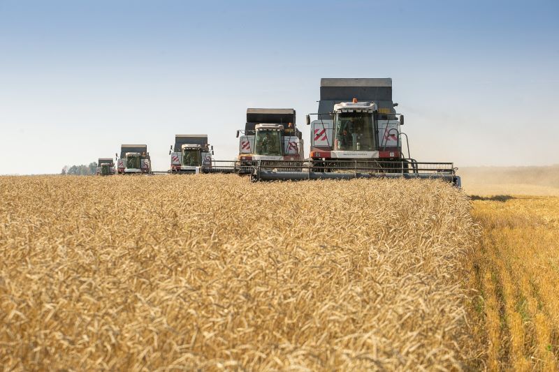 Порядка 2,36 млн тонн зерновых собрали аграрии Новосибирской области за 2023 год