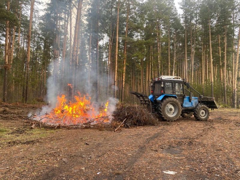 Лесничии Новосибирской области сожгли лесопорубочные остатки прошлого сезона