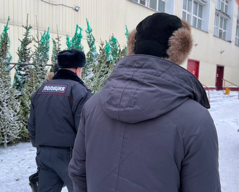 Легальность новогодних елей на рынках Новосибирской области проверили в минприроды