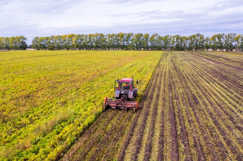 Экспорт сельскохозяйственной продукции в Новосибирской области увеличился на 33% несмотря на непогоду