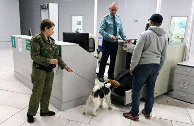 В аэропорту «Толмачёво» новосибирские таможенники изъяли 18 кг насвая