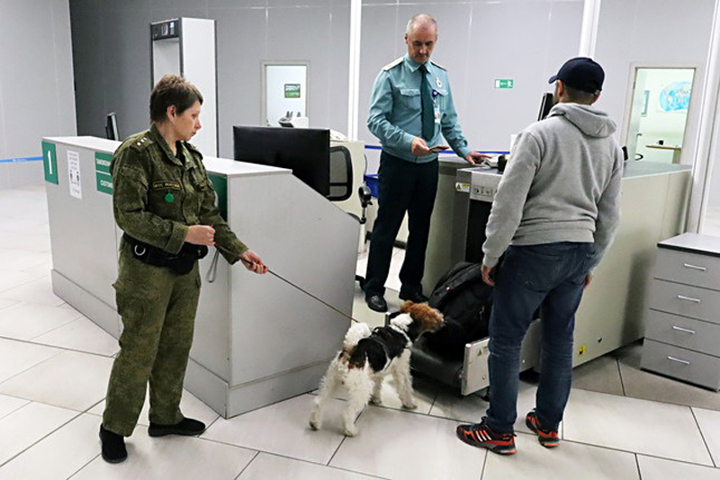 В аэропорту «Толмачёво» новосибирские таможенники изъяли 18 кг насвая