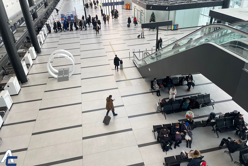 Более 60 паспортов отобрали пограничники у пассажиров аэропорта "Толмачёво"