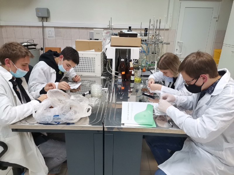 «Школьники – научные волонтеры»: молодежный проект стартовал в Новосибирской области