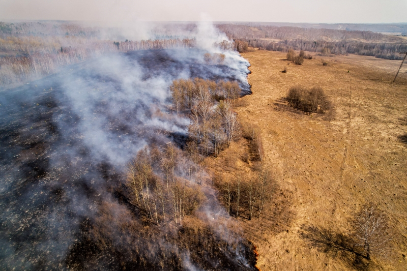 Чиновники районов будут бороться с ландшафтными пожарами в Новосибирской области