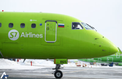 Самолёт столкнулся с птицей во время вылета из новосибирского аэропорта Толмачёво