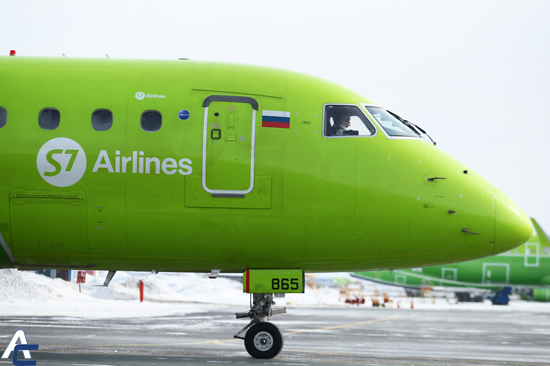 Самолёт столкнулся с птицей во время вылета из новосибирского аэропорта Толмачёво