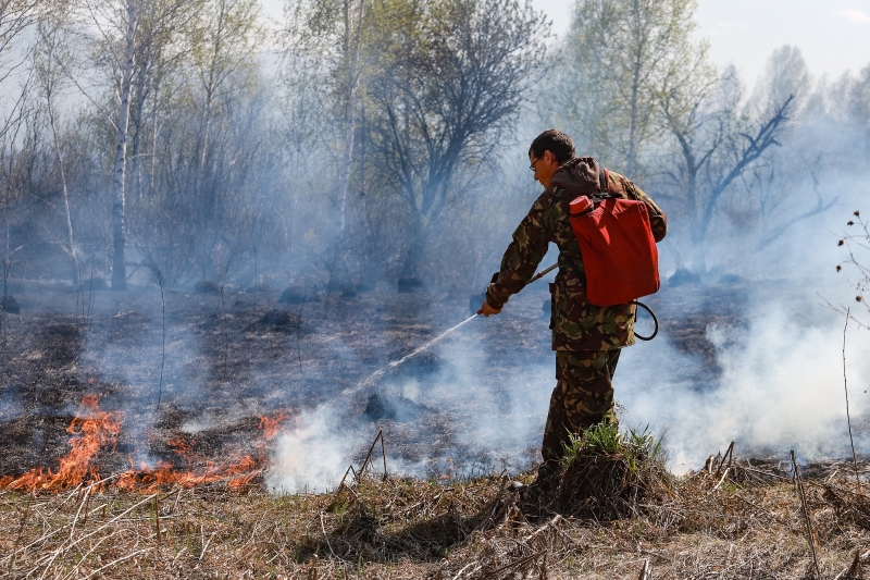 Особый режим против возникновения пожаров установлен в Новосибирской области