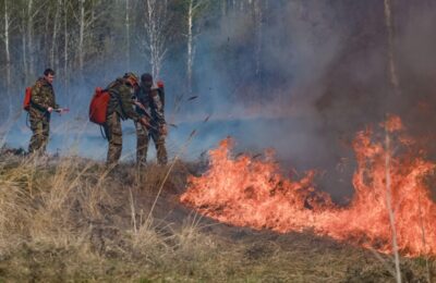 План по предупреждению и тушению лесных пожаров утвердил губернатор Травников