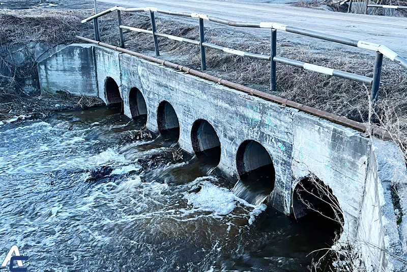 Резкое снижение уровня воды во Власихе в Оби под Новосибирском объяснили эксперты