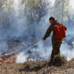 Добровольцам-пожарным из Новосибирской области в два раза увеличили выплаты