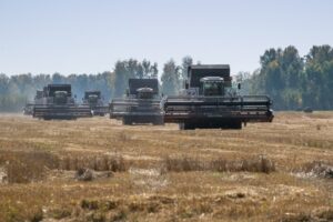 Доля отечественных семян выросла во время посевной-2024 в Новосибирской области