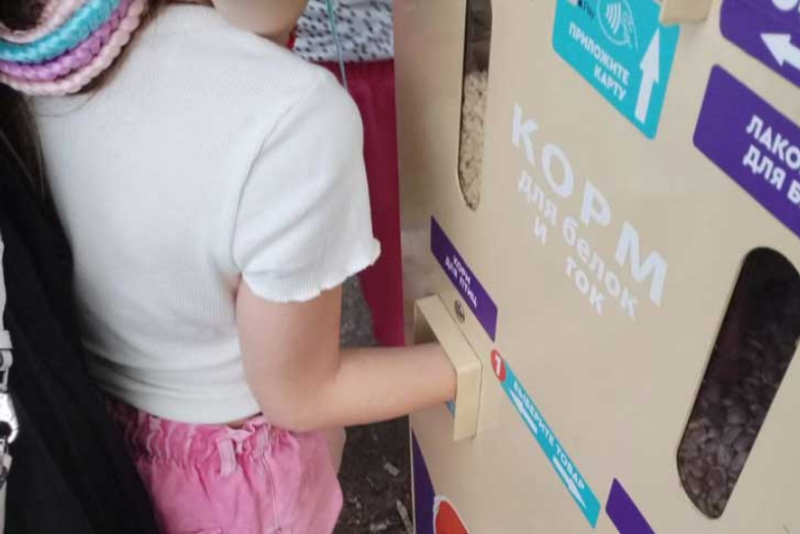 В автомате для кормления белок застряла 9-летняя девочка в Новосибирске
