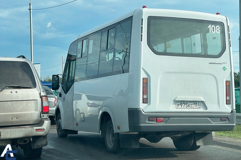 Запрет провоза багажа на маршрутке до аэропорта Толмачёво опровергли в минтрансе