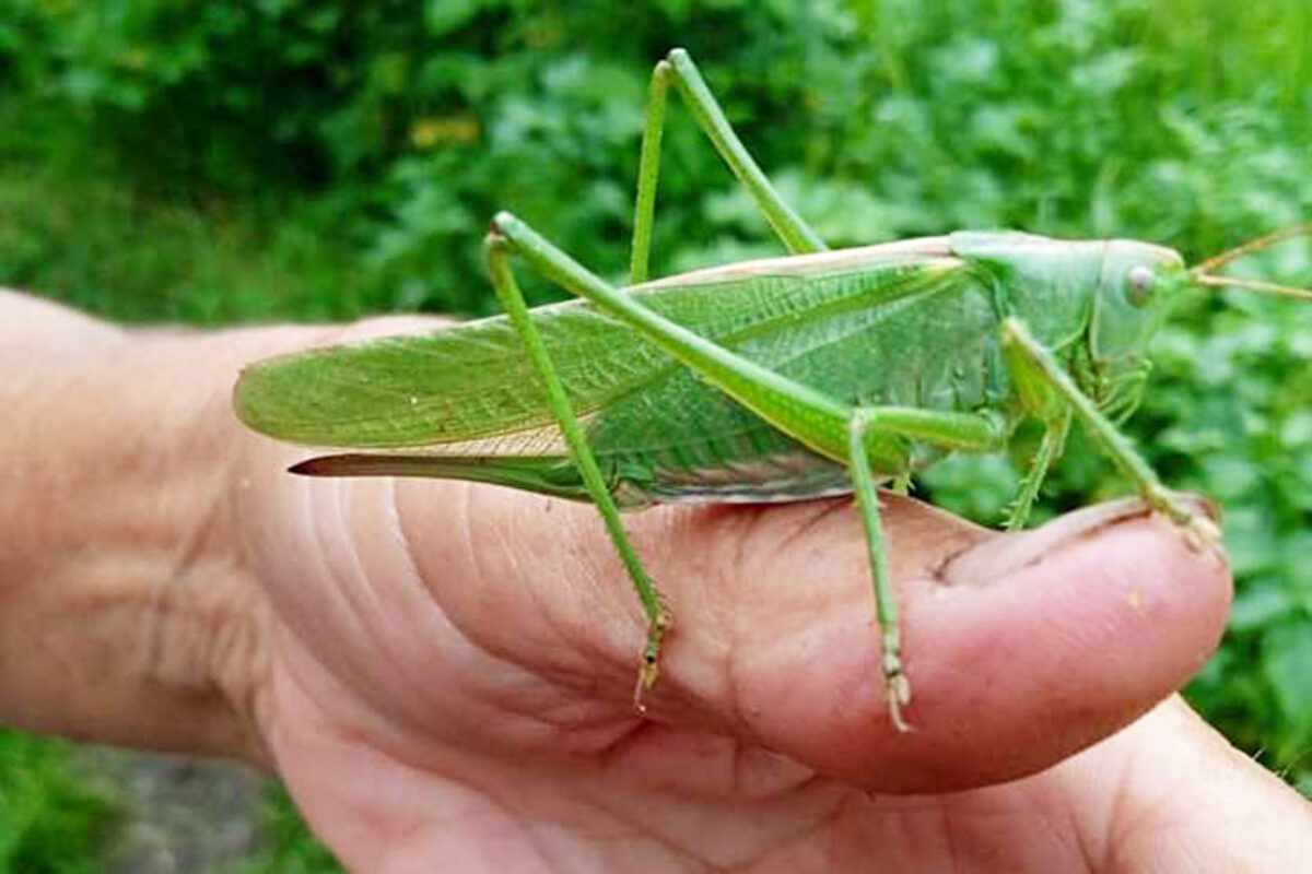 Армян порно көру Ретро ана порно hd