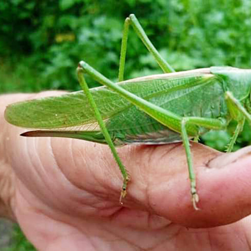 Порно Инга фотосы