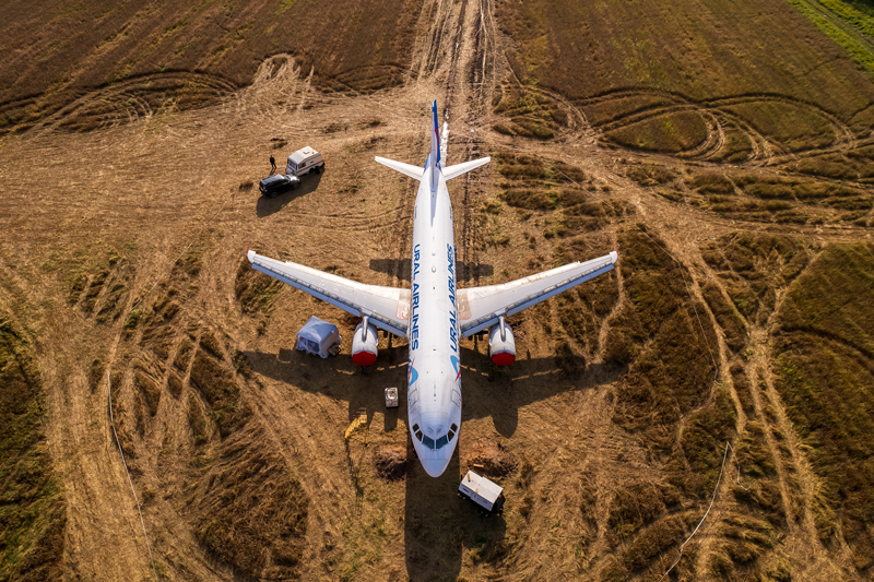 Разберут на запчасти севший в пшеничном поле под Новосибирском самолёт Airbus A320