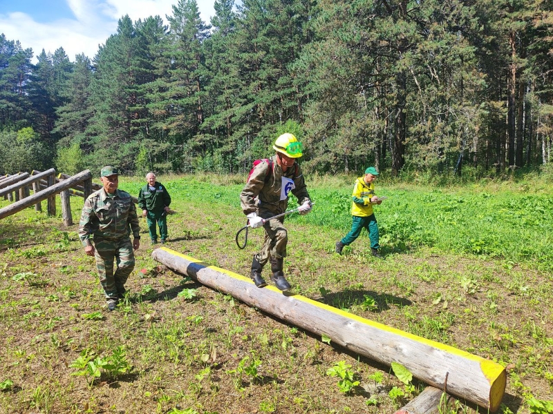 Лучшего лесного пожарного определили в Новосибирской области