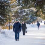 Потепление до +3 градусов тепла в Новосибирскую область принесёт Атлантический циклон