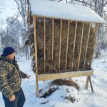 В Новосибирской области создают «шведские столы» для животных