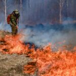 О недопустимости пожаров в районах Новосибирской области заявил губернатор Травников